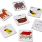 Creative Educational Pre-School Animal Families and Their Homes