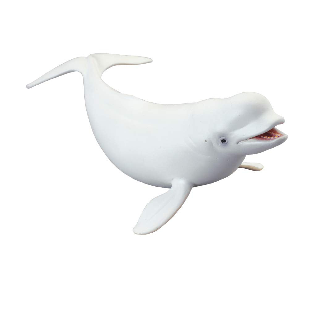 CollectA Sea Life Beluga Whale Toy Figure - Authentic Hand Painted Model