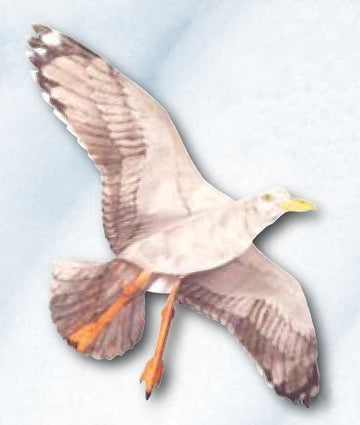 Jackite Sea Gull Kite, 42.5' Wingspan
