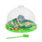 Insect Lore Ladybug Land Kit - Model 2100 for Kids, Educational Insect Habitat