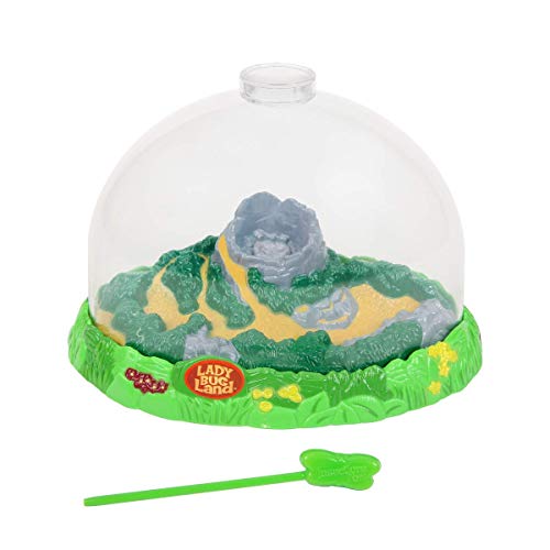 Insect Lore Ladybug Land Kit - Model 2100 for Kids, Educational Insect Habitat