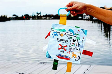 Baby Jack & Co 8X8” Learning Lovey Tag Toys For Babies - Baby Crinkle Toys - Crinkle Toys For Baby - Soft & Safe - Learn Usa State Facts - Ideal Baby Toy Bpa Free W/Stroller Clip (Florida)