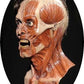 Human Error Resurrection Mask