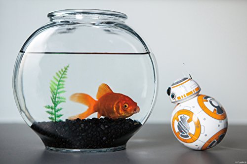 Original Bb-8 By Sphero (No Droid Trainer)
