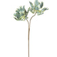 Botanica #2541