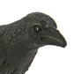 Safari S150829 Wings Of The World Raven Miniature Plastic Minature