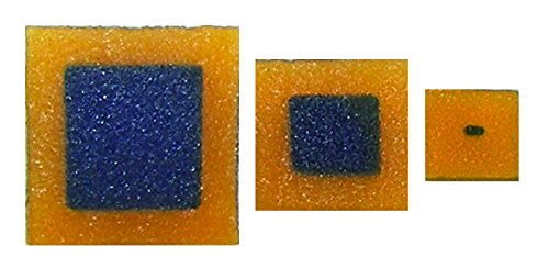 Innovating Science Diffusion And Cell Size Kit