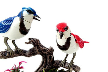 Az Import & Trading Bc513Ab Singing & Chirping Birds - Realistic Sounds And Movements - Blue Jays
