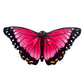 Insect Lore Pink Morpho Dress-Up Butterfly Wings - Pretend Play Costume for Kids