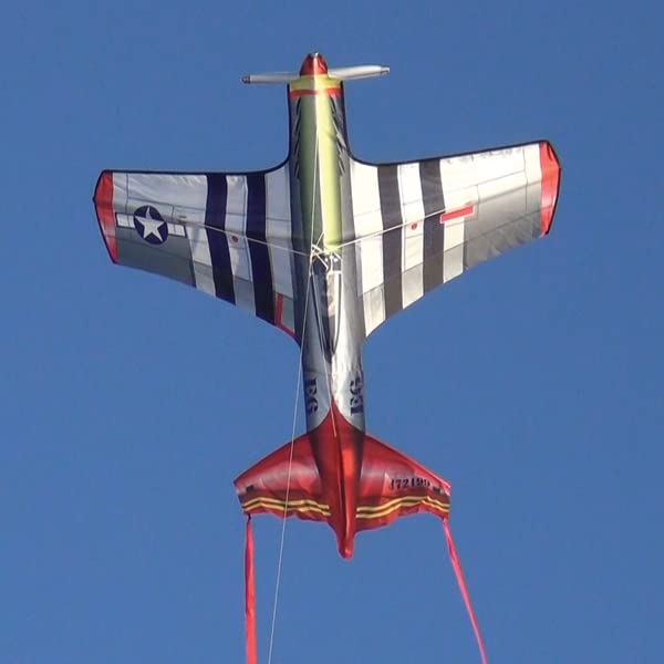 X-Kites WindNSun FlightZone Mustang Ripstop Nylon Air Kite  53 Inches Wide