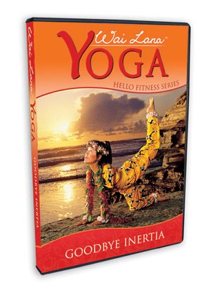 Goodbye Inertia DVD