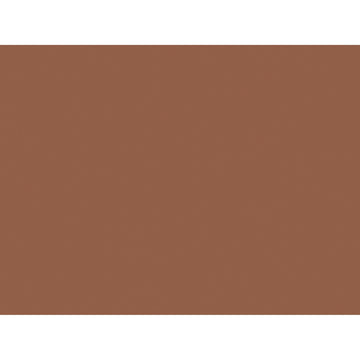 Construction Paper, Warm Brown, 18 x 24, 50 Sheets Per Pack, 2 Packs