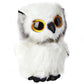 Ty - Beanie Boo Owl Austin - 15 Cm