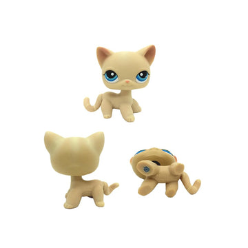 5Pcs Mini Pet Kitty Cat #5#525#228#1024#1170 Rare Short Hair Cat Action Figures Kids Boy Girl Toys