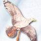 Jackite Sea Gull Kite, 42.5' Wingspan