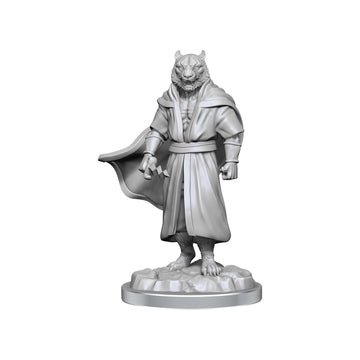 Critical Role Unpainted Miniatures: Male Human Sorcerer Merchant & Tiger Demon