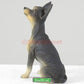 Stealstreet Chihuahua (Black) Dog - Collectible Statue Figurine Figure Sculpture