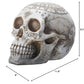 YTC 7.75 Inch Resin Skull with Astrology Engravings, White Colored