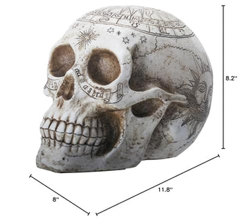 YTC 7.75 Inch Resin Skull with Astrology Engravings, White Colored