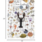 Heritage Puzzle 550-Piece Shells of New England - Cardboard, 18" x 24", Made in the USA