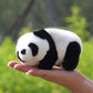 Lazada Stuffed Animal Panda Bear Baby Girl Gifts Panda Toys 6.5'