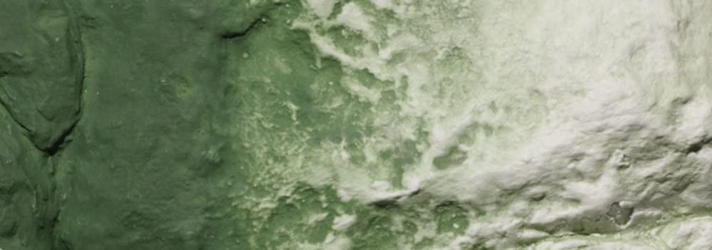 Undercoat Liq Pigment Grn 8Oz