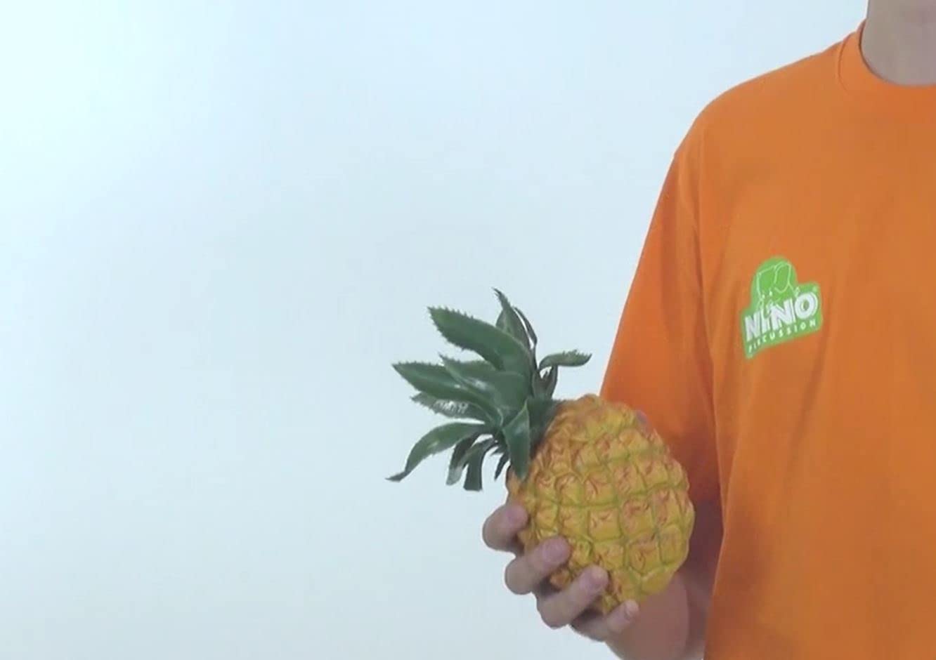 Nino Percussion Nino595 Fruit Shaker - Pineapple