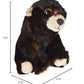 Ty - Beanie Babies Brown Bear Kodi - 15 Cm