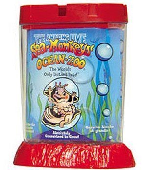 Schylling Sea Monkeys Ocean Zoo Colors May Vary By Schylling