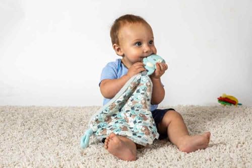 Mary Meyer Chewy Crew Soothing Baby Teether Lovey, 10-Inches, Puppy