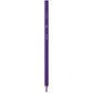 Bic Kids Evolution ECOlutions Colouring Pencils, Assorted Colours, Eco-Friendly, 70 g,12 Count (Pack of 1)