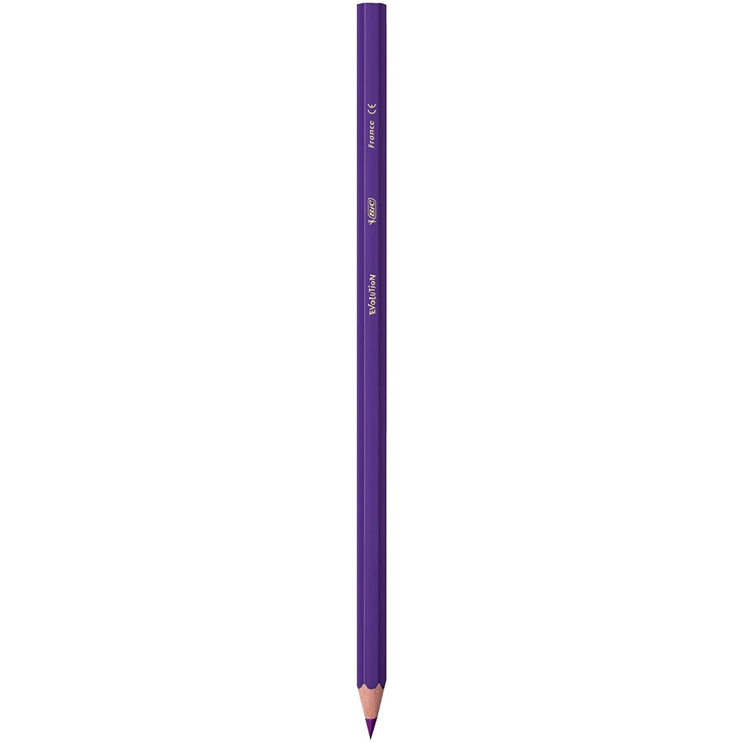 Bic Kids Evolution ECOlutions Colouring Pencils, Assorted Colours, Eco-Friendly, 70 g,12 Count (Pack of 1)