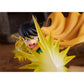 Good Smile Dragon Quest: The Adventure Of Dai: Popp Pop Up Parade Pvc Figure, Multicolor
