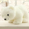 PATLY Teddy Bear | Stuffed Plush Toys for Kids | Soft Fur | Hypoallergenic | Bpa Free | Children Friendly Plush & Stuffed Toys o