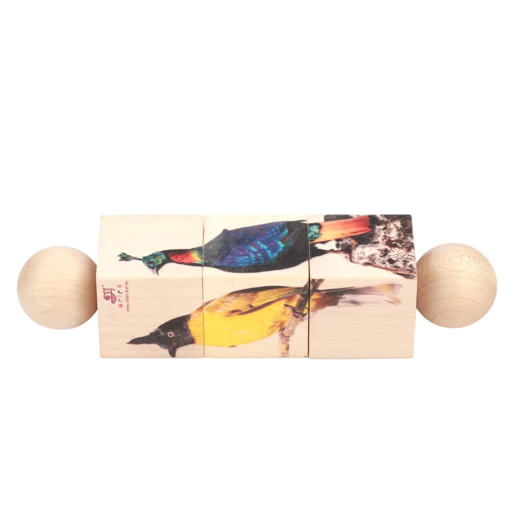 Ariro Rotating Puzzle | Birds For Toddlers | Montessori Puzzle For Boy & Girl | Grasping Toy For 18M To 3Yrs | Helps A Child To 