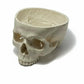Human Skull Base Model - Life Size, 1-Part Anatomical Skull Pvc