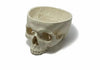 Human Skull Base Model - Life Size, 1-Part Anatomical Skull Pvc
