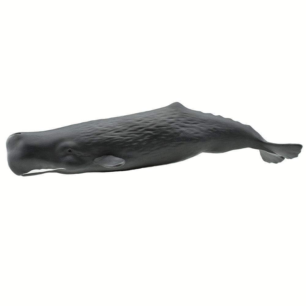 Safari Ltd. Sperm Whale Figurine - 9" Lifelike PVC Ocean Animal Toy for Kids - Multicoloured