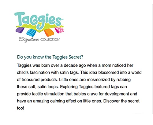 Mary Meyer Taggies Touch & Feel Soft Cloth Book With Crinkle Paper & Squeaker, 6 X 6-Inches, Painted Pony