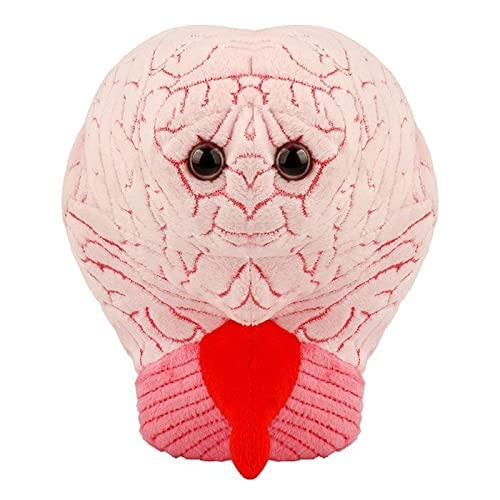 Giantmicrobes Brain Plush, Brain Toy, Brain Stuffed Animal, Brain Gifts For Neurologist, Brain Surgery Recovery Gifts, Neurology Gifts, Neuroscience Gifts, Brain Injury Gift, Brain Decor, Biology Gift