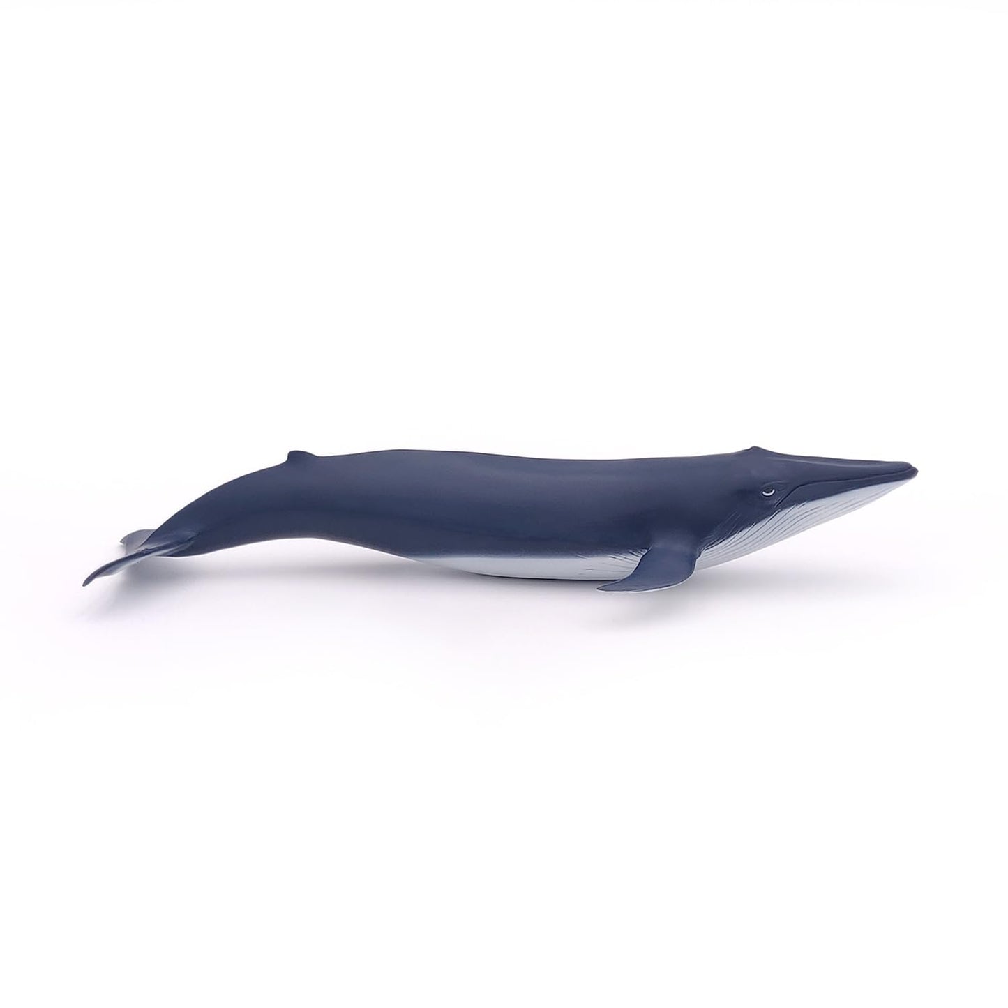 Papo - Hand-Painted - Figurine - Marine Life - Blue Whale Calf-56041 - Collectible - For Children - Suitable For Boys And Girls - From 3 Years Old
