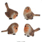 RAZ Imports Brown & Peach 2 Birds Set of 4