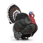 Collecta Turkey Animal Toy