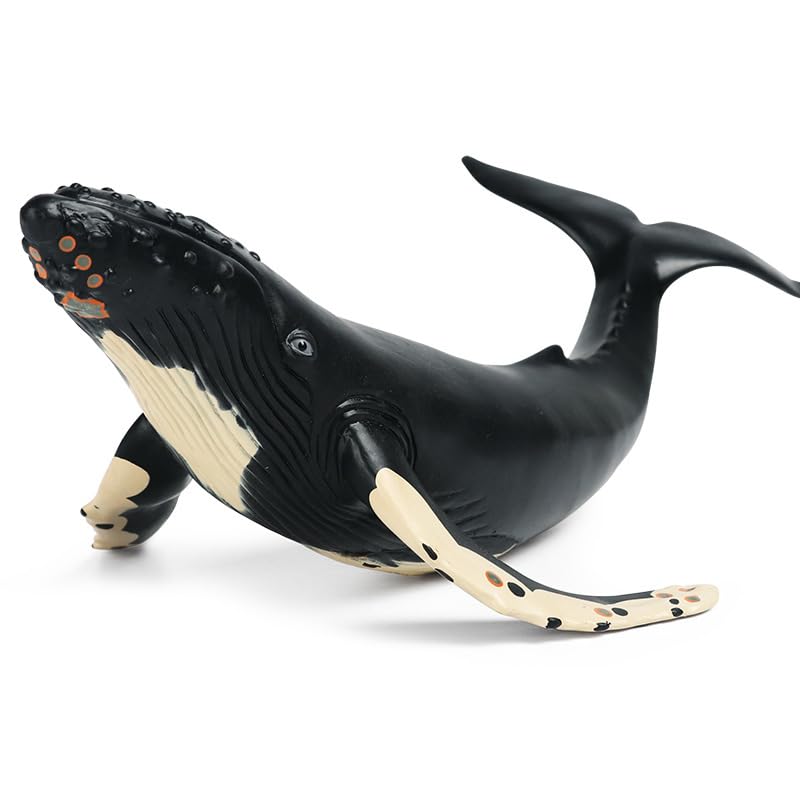 EOIVSH Soft Rubber Humpback Whale Toy, 14.2" Realistic Ocean Figure for Kids, Bath & Beach Fun, Plastic, Great Birthday Gift