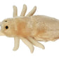 GIANT MICROBES Louse Plush Toy - 7" Tan Educational Gift for Lice Awareness, Ideal for Families and Insect Lovers