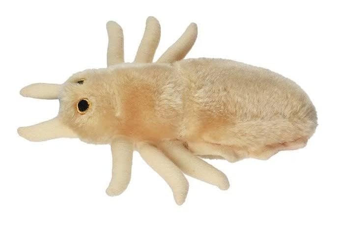 GIANT MICROBES Louse Plush Toy - 7" Tan Educational Gift for Lice Awareness, Ideal for Families and Insect Lovers