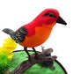 Az Trading & Import Bc507B Singing & Chirping Bird In Cage - Realistic Sounds & Movements