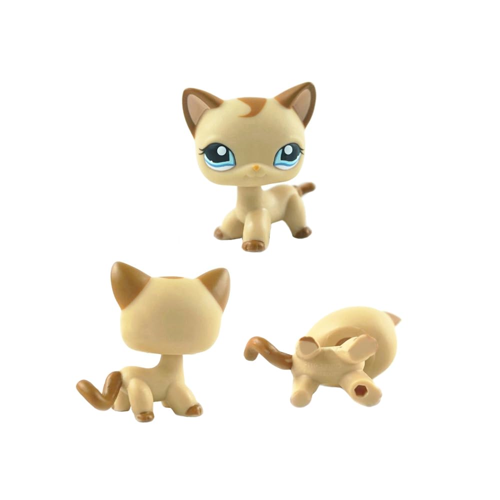 5Pcs Mini Pet Kitty Cat #5#525#228#1024#1170 Rare Short Hair Cat Action Figures Kids Boy Girl Toys