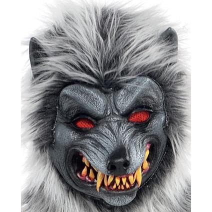 Amscan Boys Hungry Howler Costume Set - Xlarge (14-16), 1 Set - Haunting Party Wear Perfect For Halloween And Themed Party Fun
