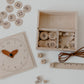 Math Helper / Math box